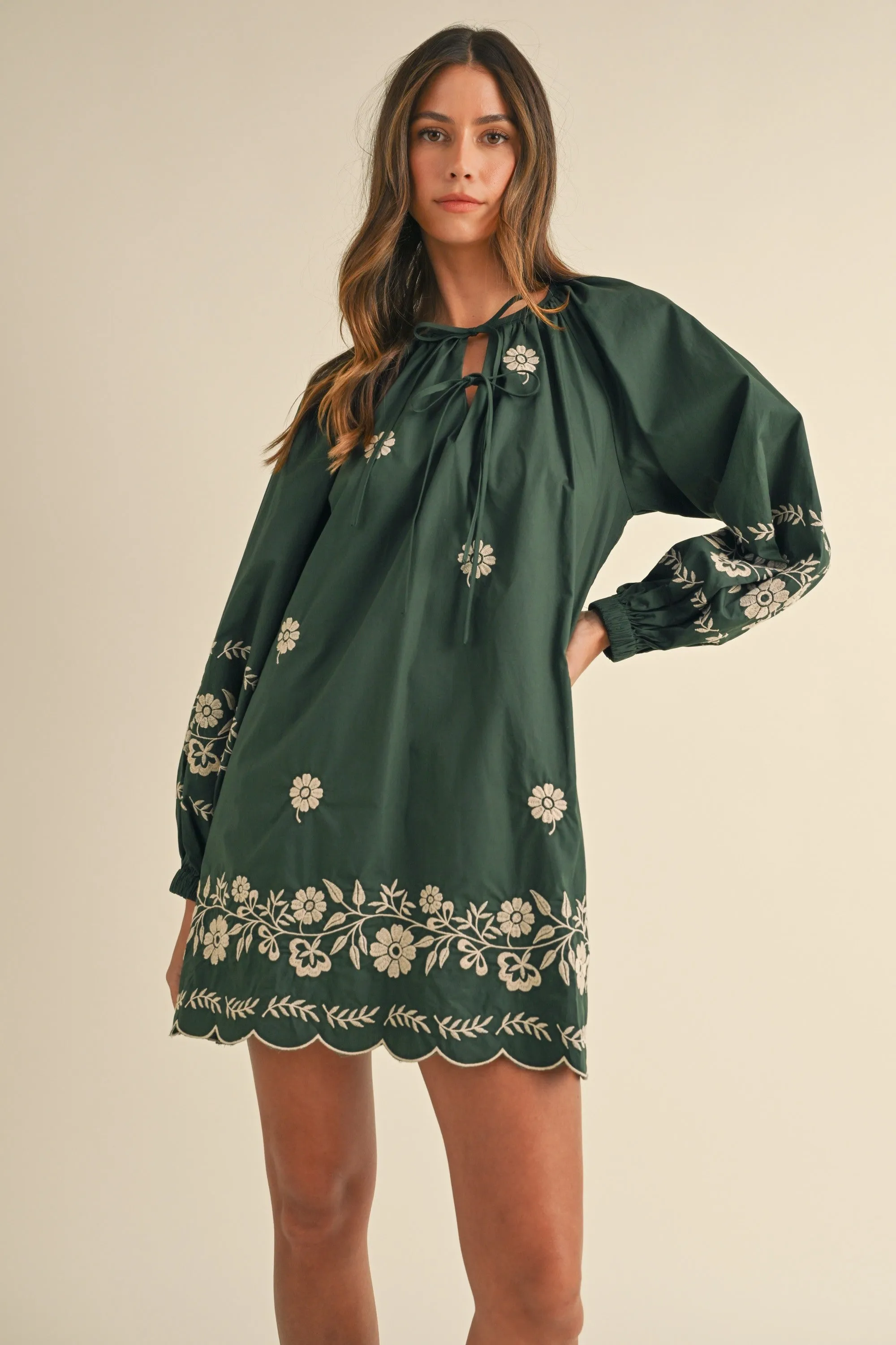 EMBROIDERY LONG SLEEVE DRESS