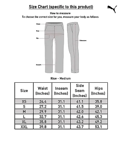 Puma Men's Regular Track Pants (84932398_Medium Gray Heather_L)